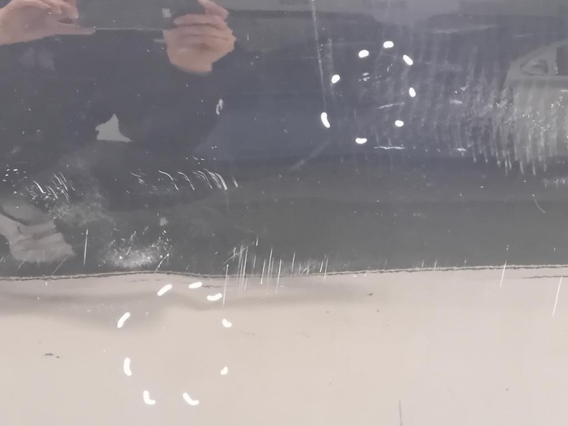 Porta ANT DX 3C4831056J Volkswagen Passat V 2005