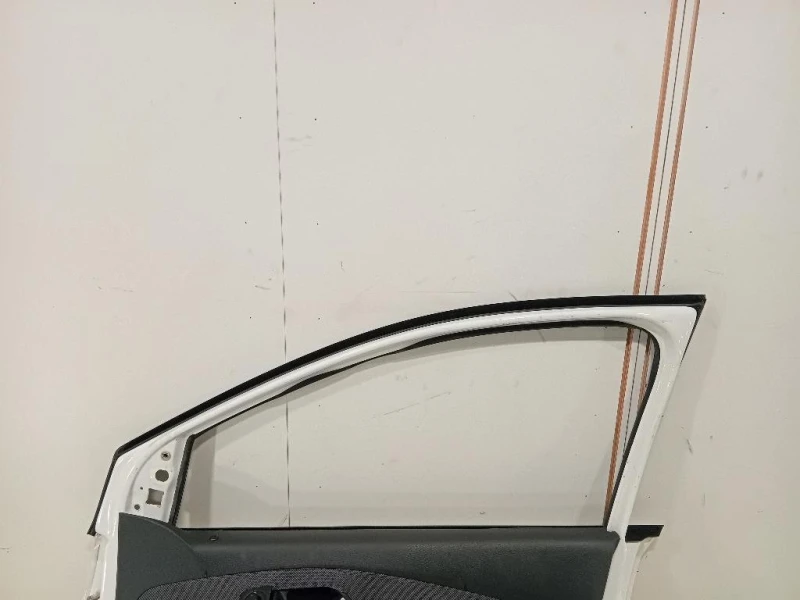 Porta ANT DX 6R3831056J Volkswagen POLO VI 2009