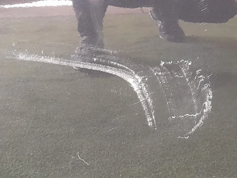 Porta ANT DX 31424669 Volvo V40 II 2012