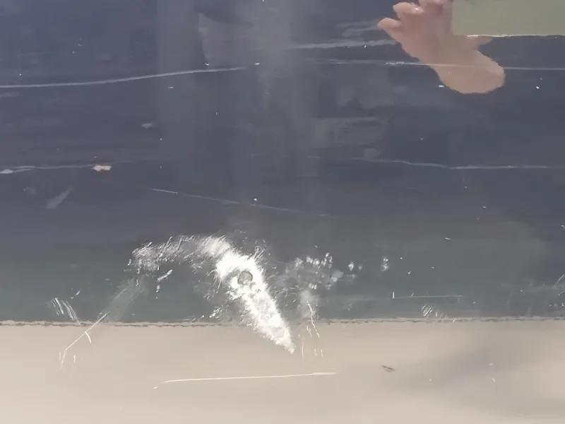 Porta ANT SX 8K0831051J Audi A4 8K2 2012