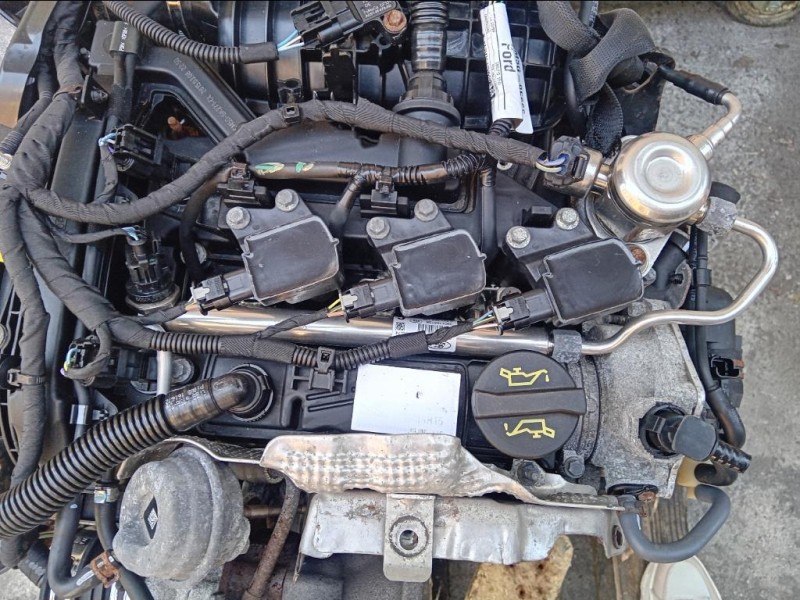 Motore Completo M1JJ 125 CV 91 KW Ford Ecosport 2013