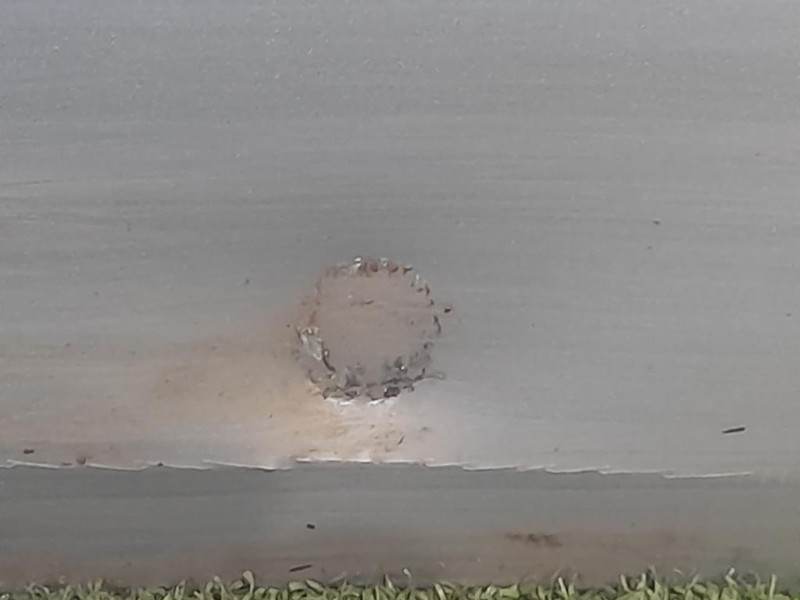 Porta ANT SX 8J0831051A Audi TT 8J3 2007