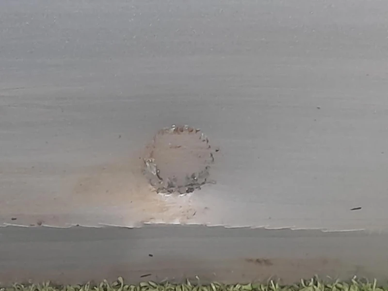 Porta ANT SX 8J0831051A Audi TT 8J3 2007