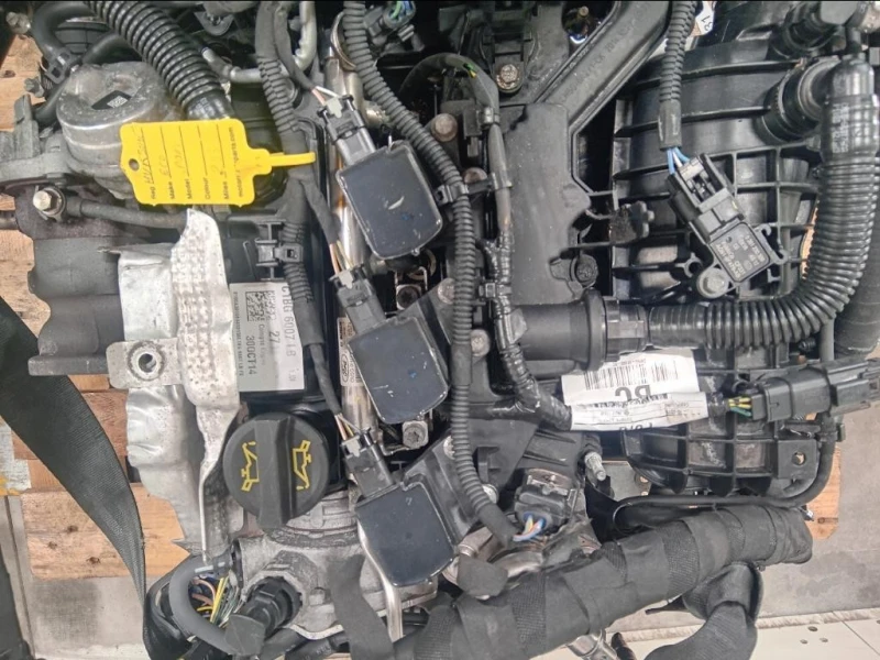 Motore Completo M1JJ 125 CV 91 KW Ford Ecosport 2017