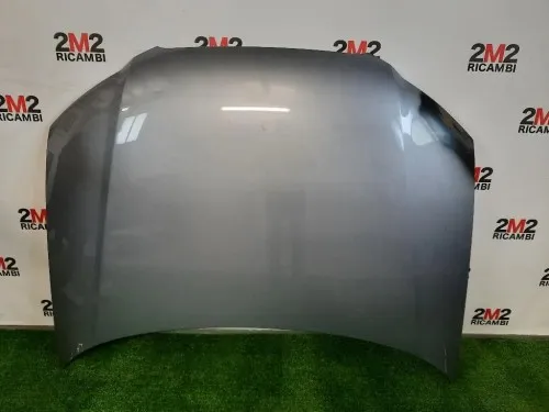 Cofano ANT 8P0823029E Audi A3 8P1 2010