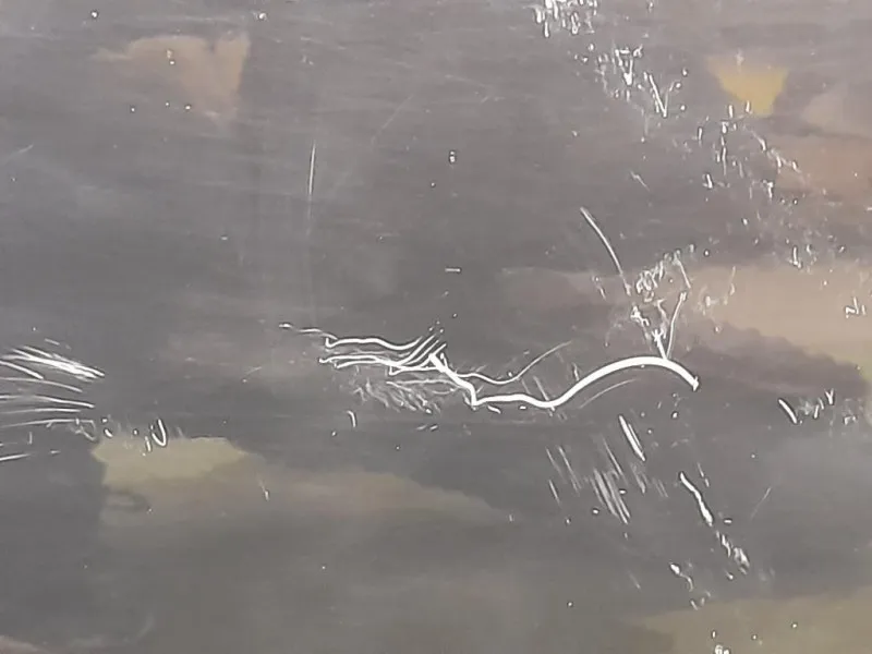 Porta ANT SX 41515A2A377 Bmw Serie 1 E81 Berlina 2005