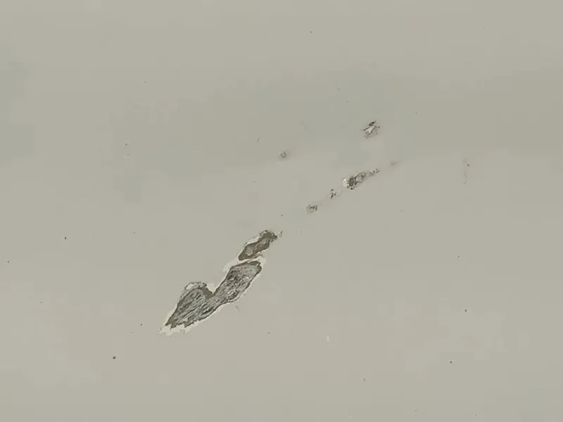 Cofano ANT 8V0823029D Audi A3 8VA Sportback 2012