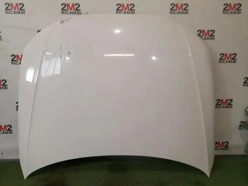 Cofano ANT 8K0823029D Audi A4 8K2 2008