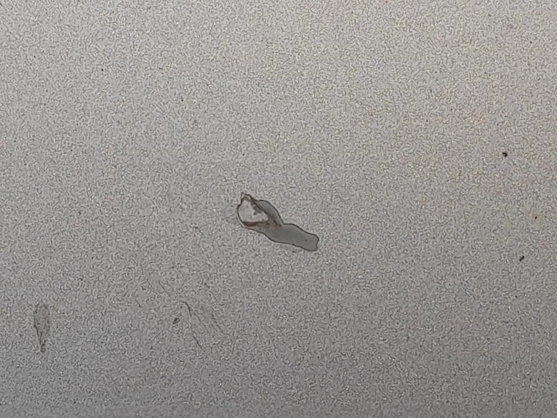 Cofano ANT Audi A4 8K5 Avant 2008