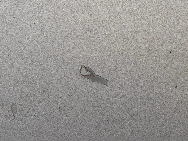 Cofano ANT Audi A4 8K5 Avant 2008