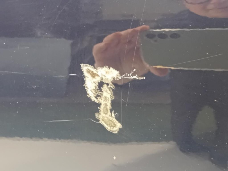 Porta ANT SX 41007284511 Bmw Serie 1 F20 Berlina 2012