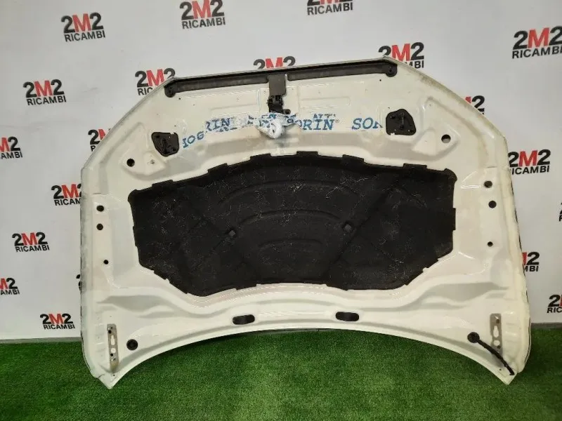 Cofano ANT 8U0823029B Audi Q3 8UB 2012