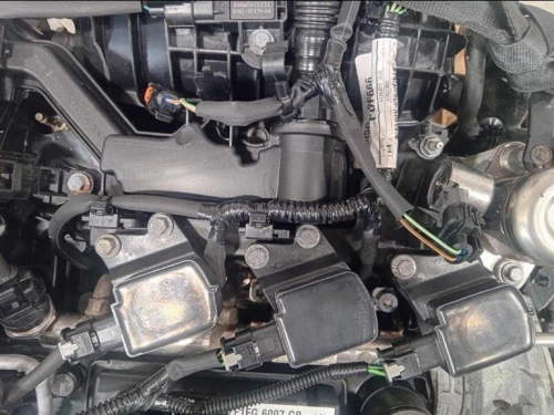 Motore Completo M1DD 125 CV 91 KW Ford Focus IV 2014