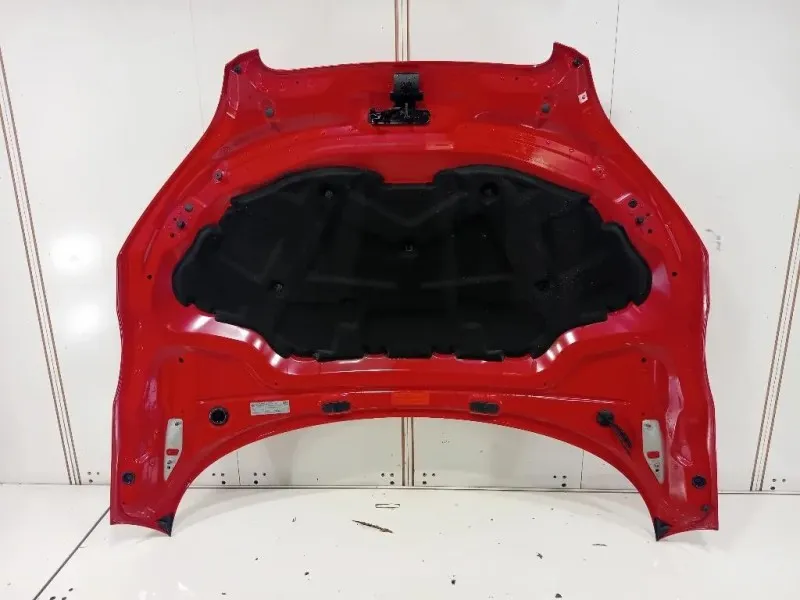 Cofano ANT COFANO ANT Audi TT 8J3 2010