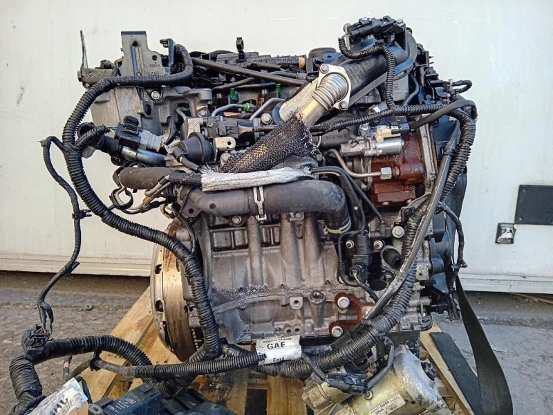 Motore Completo T1DB 116 CV 85 KW Ford Focus IV SW 2011