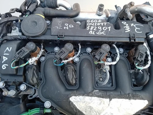 Motore Completo G6DG 136 CV 100 KW Ford KUGA I 2008