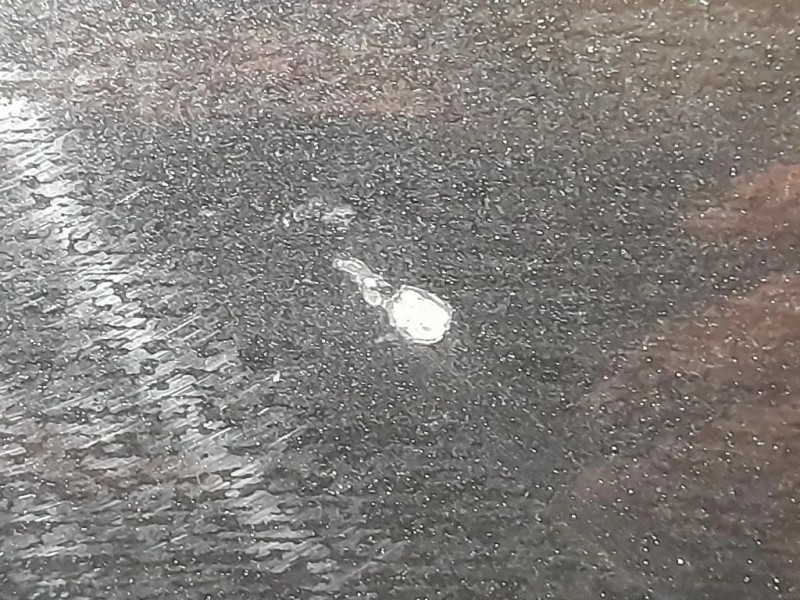 Cofano ANT E90 E91 Bmw Serie 3 E90 Berlina 2005