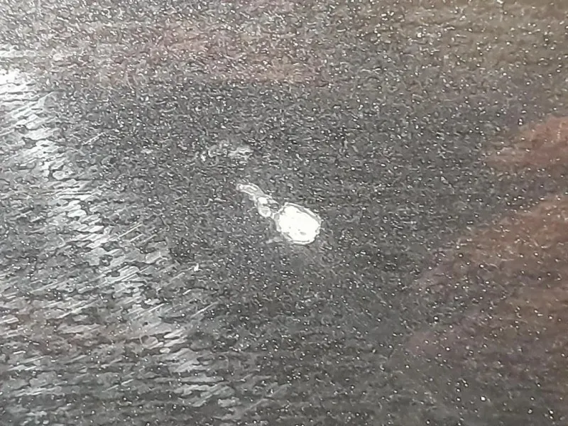 Cofano ANT E90 E91 Bmw Serie 3 E90 Berlina 2005