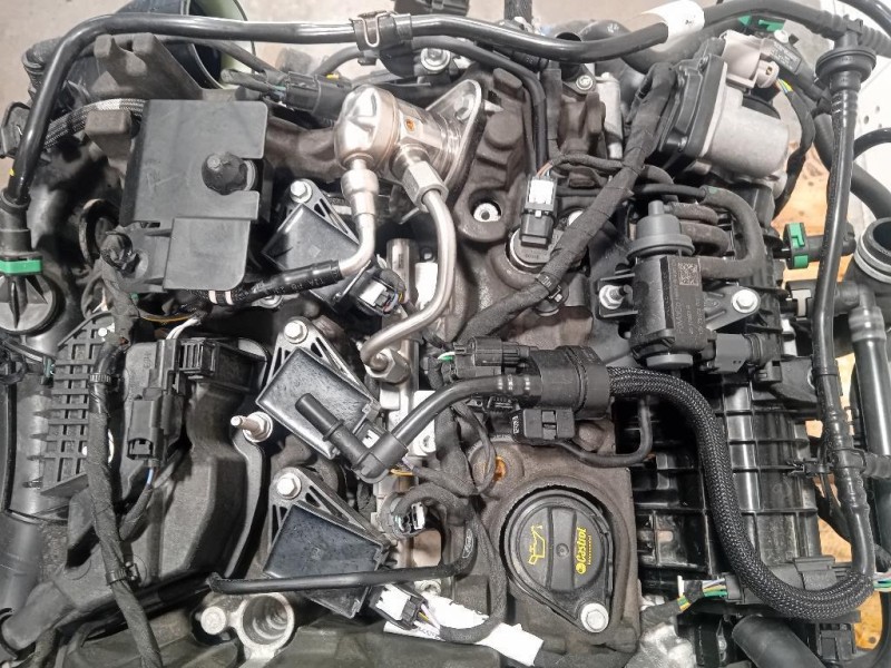 Motore Completo BZJB 125 CV 91KW Ford PUMA II 2019