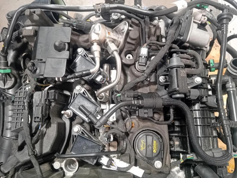 Motore Completo BZJB 125 CV 91KW Ford PUMA II 2019