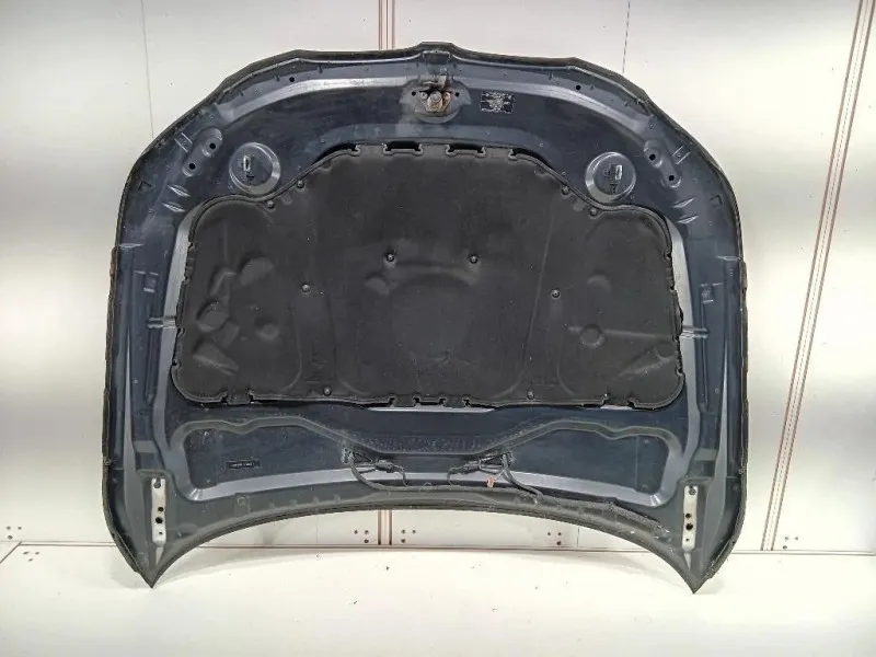 Cofano ANT 41617111385 Bmw Serie 5 E60 Berlina 2004