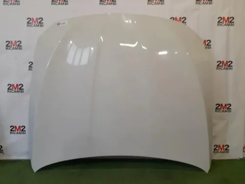 Cofano ANT 9241492 Bmw Serie 5 F10 Berlina 2010