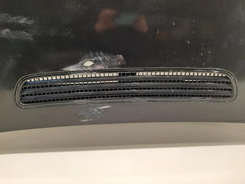 Cofano ANT 41617200442 Bmw Serie 7 E66 2003