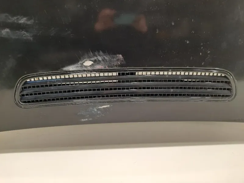 Cofano ANT 41617200442 Bmw Serie 7 E66 2003