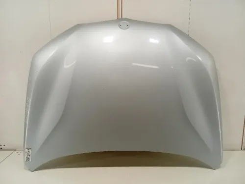 Cofano ANT 41007463772 Bmw X1 F48 2015