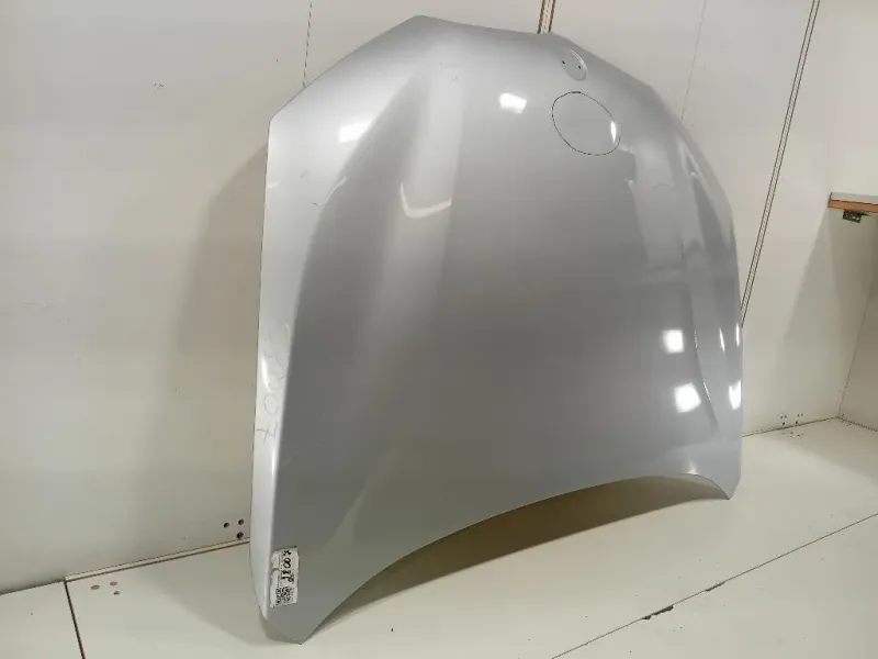 Cofano ANT 41007463772 Bmw X1 F48 2015