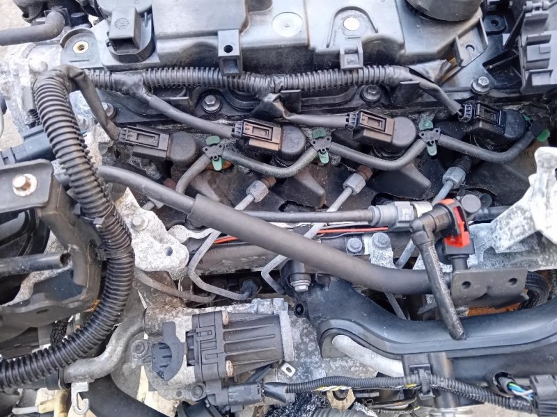 Motore Completo TZGA 95 CV 69 KW Ford Tourneo Connect II 2014