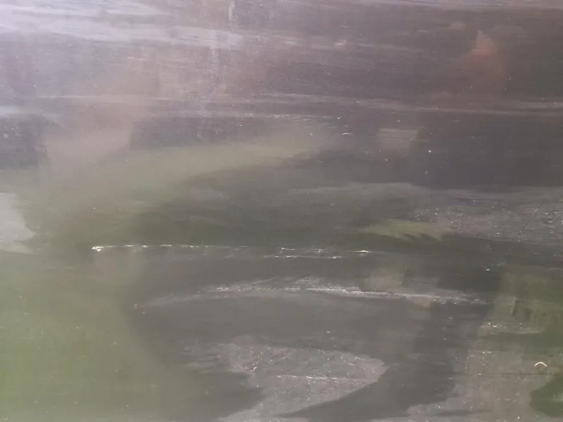 Porta ANT SX 41525A2A387 Bmw Serie 7 F04 2009