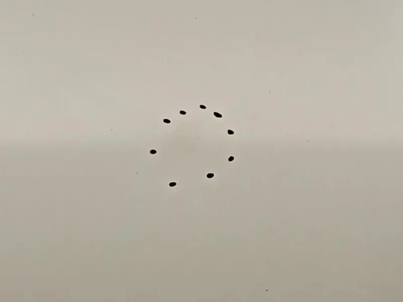 Porta ANT SX 95242604 Chevrolet Orlando 2011