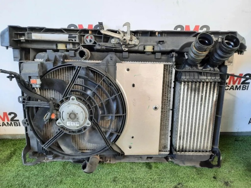 Cofano ANT MUSO ANT Citroen DS3 2010