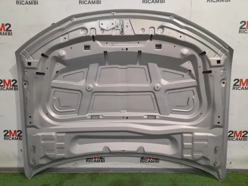 Cofano ANT ANNO 2021 Citroen DS4 I 2016