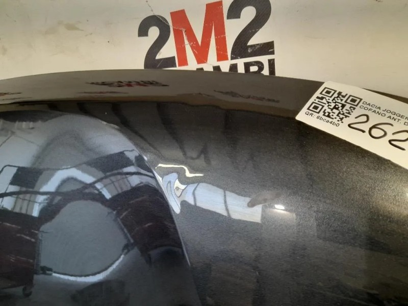 Cofano ANT 651008347R Dacia Duster II 2018