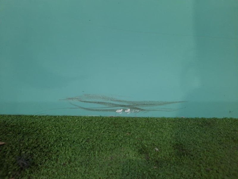 Porta ANT SX B000968580 Citroen C1 II 2014