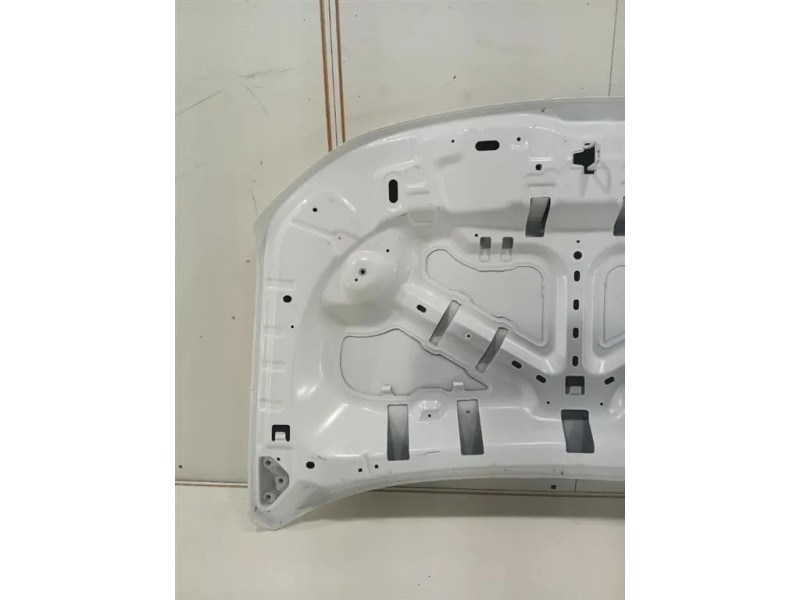 Cofano ANT 651008347R Dacia Duster II 2018