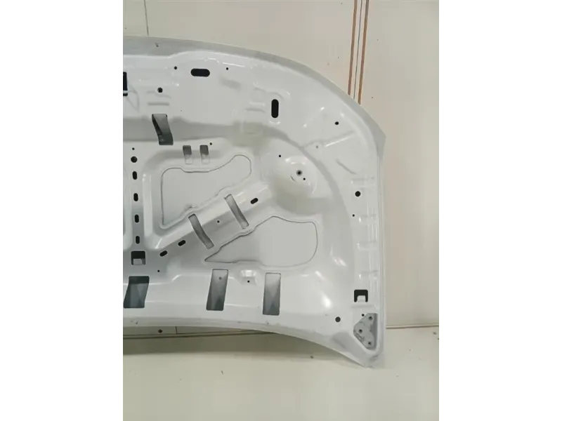 Cofano ANT 651008347R Dacia Duster II 2018