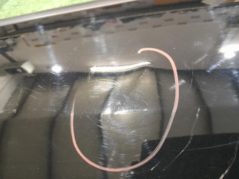 Porta ANT SX 9002AS Citroen C3 Picasso 2013