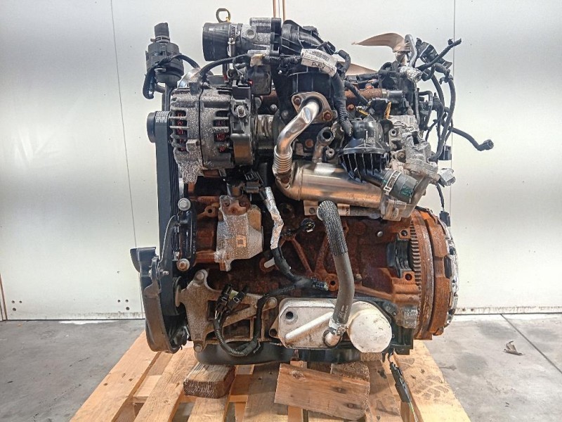 Cofano ANT 651224904R Dacia Sandero II 2013