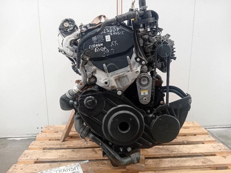 Cofano ANT 651224904R Dacia Sandero II 2013