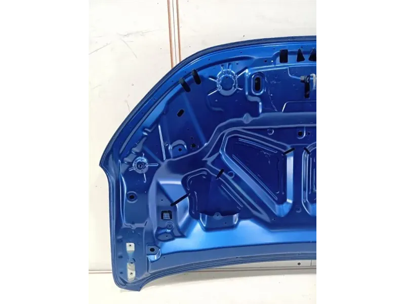 Cofano ANT 651224904R Dacia Sandero II 2013