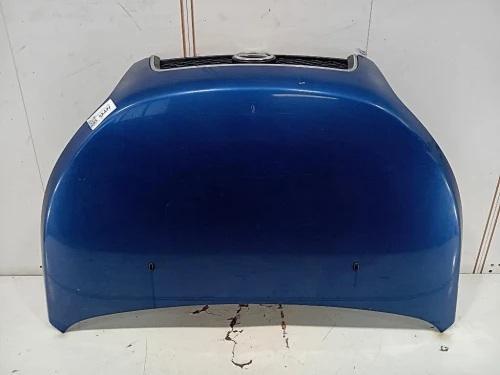 Cofano ANT 53301B4020 Daihatsu Terios II 2009