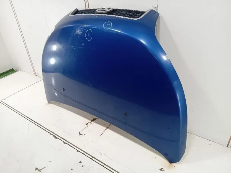 Cofano ANT 53301B4020 Daihatsu Terios II 2009