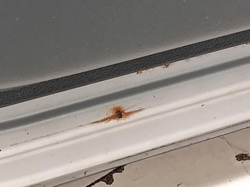 Porta ANT SX 801019012R Dacia Duster I 2014