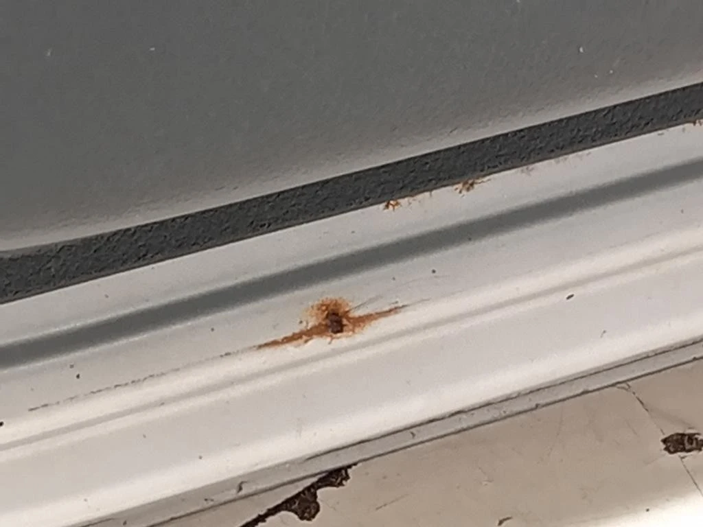 Porta ANT SX 801019012R Dacia Duster I 2014