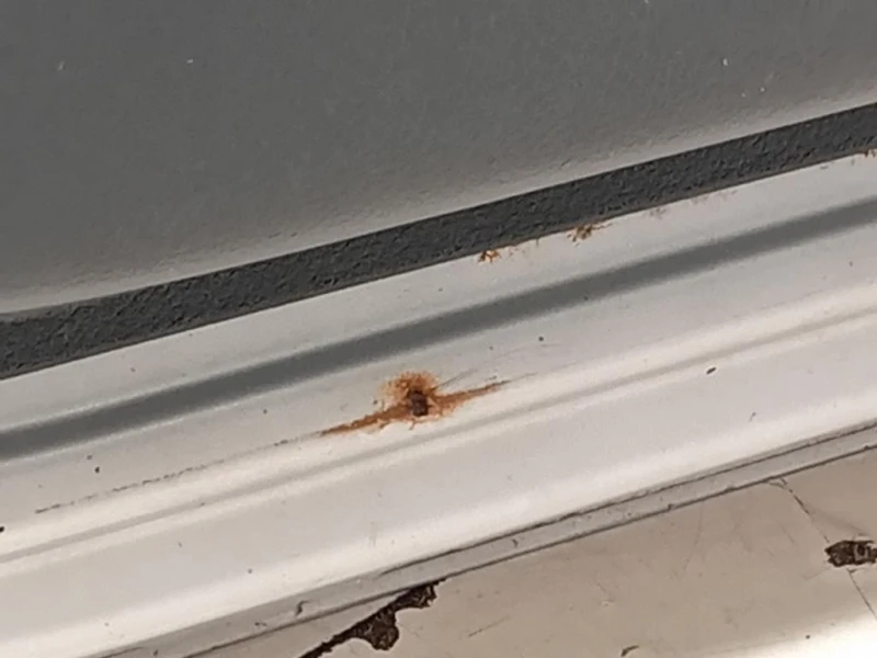 Porta ANT SX 801019012R Dacia Duster I 2014