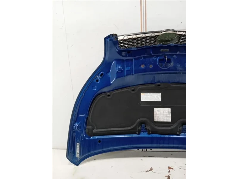 Cofano ANT 53301B4020 Daihatsu Terios II 2009