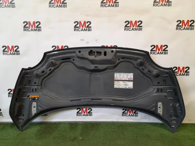 Cofano ANT Fiat 500 C 2015